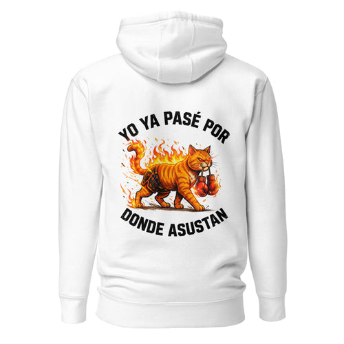 Yo Ya Pasé Por Donde Asustan Gato Boxeador