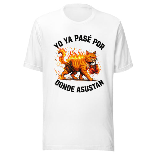 Yo Ya Pasé Por Donde Asustan Gato Boxeador