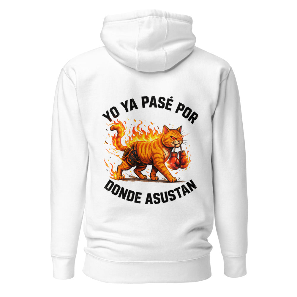 Yo Ya Pasé Por Donde Asustan Gato Boxeador