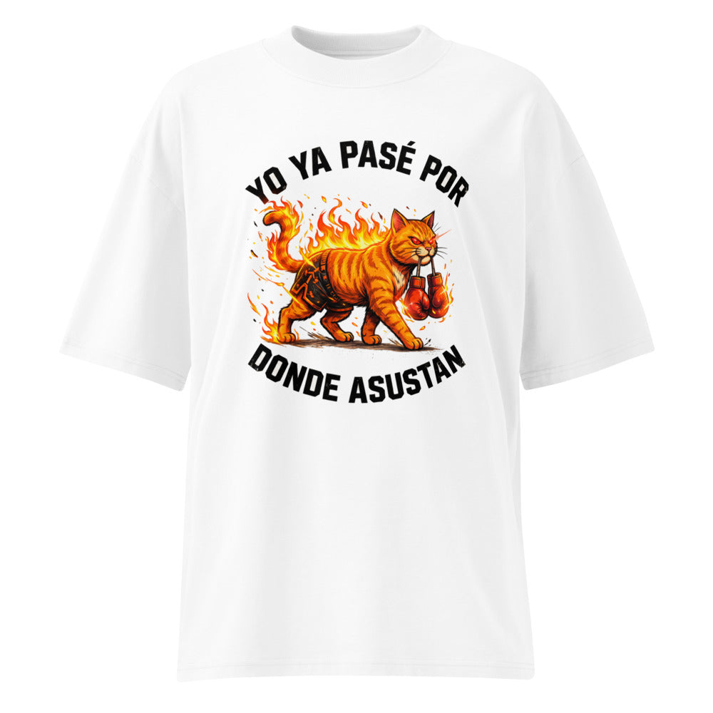 Yo Ya Pasé Por Donde Asustan Gato Boxeador