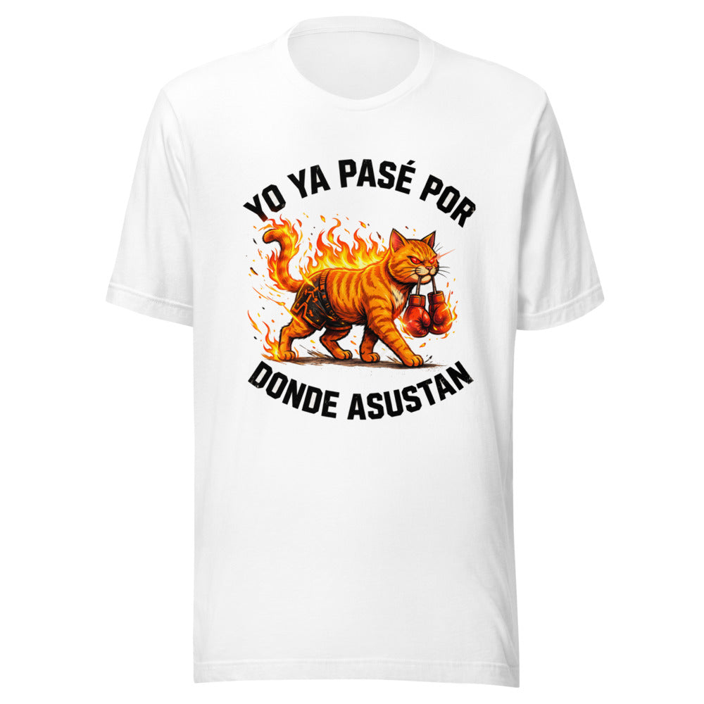 Yo Ya Pasé Por Donde Asustan Gato Boxeador