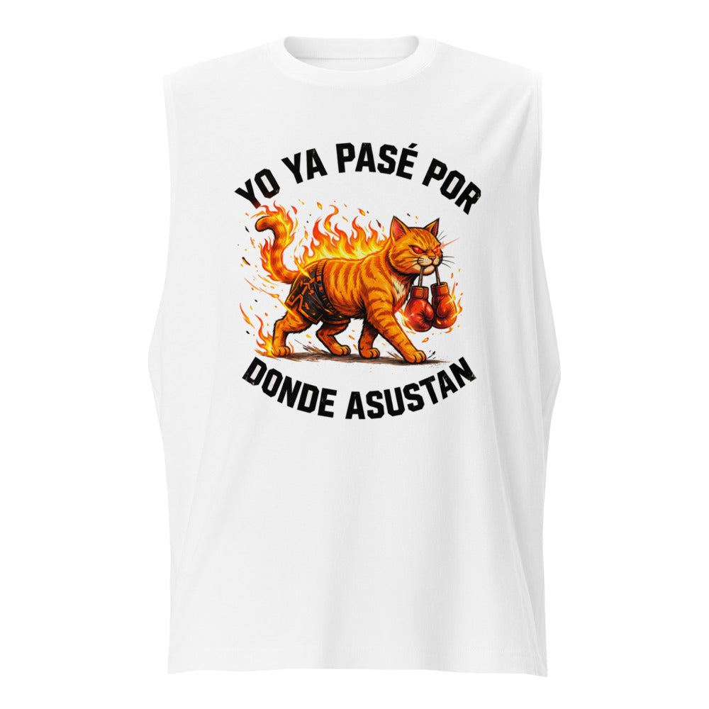 Yo Ya Pasé Por Donde Asustan Gato Boxeador