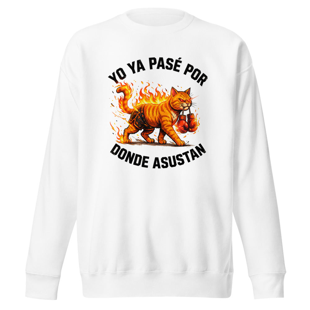 Yo Ya Pasé Por Donde Asustan Gato Boxeador