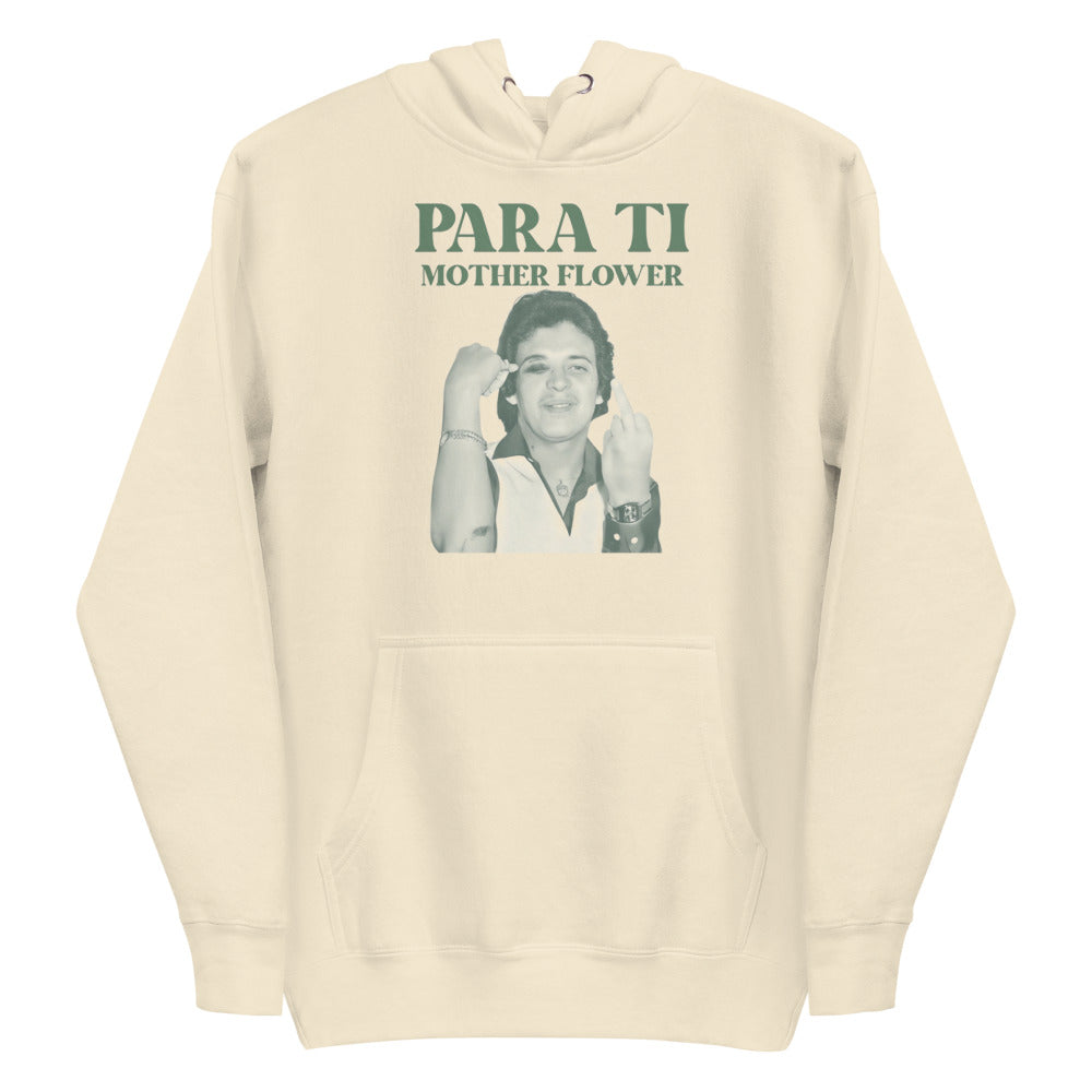 Plano alternativo