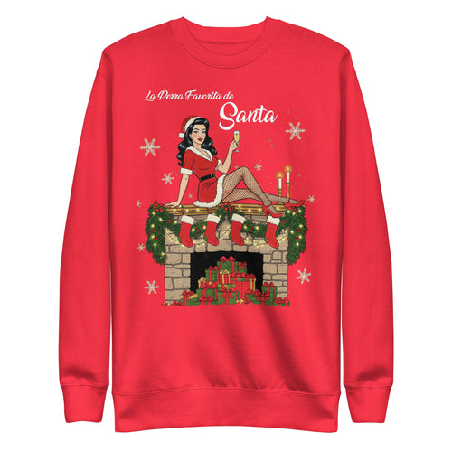 Santa's Favorite