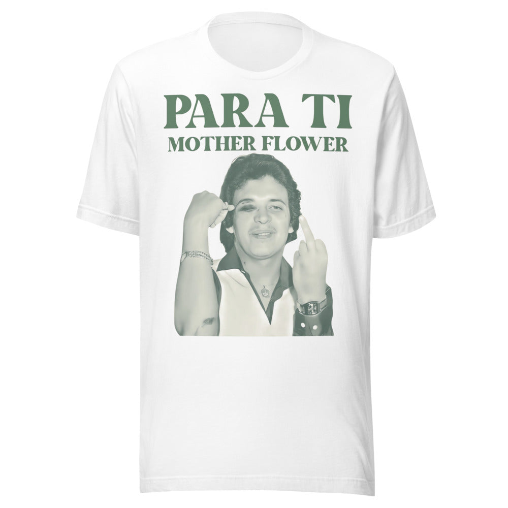 Frente grande
